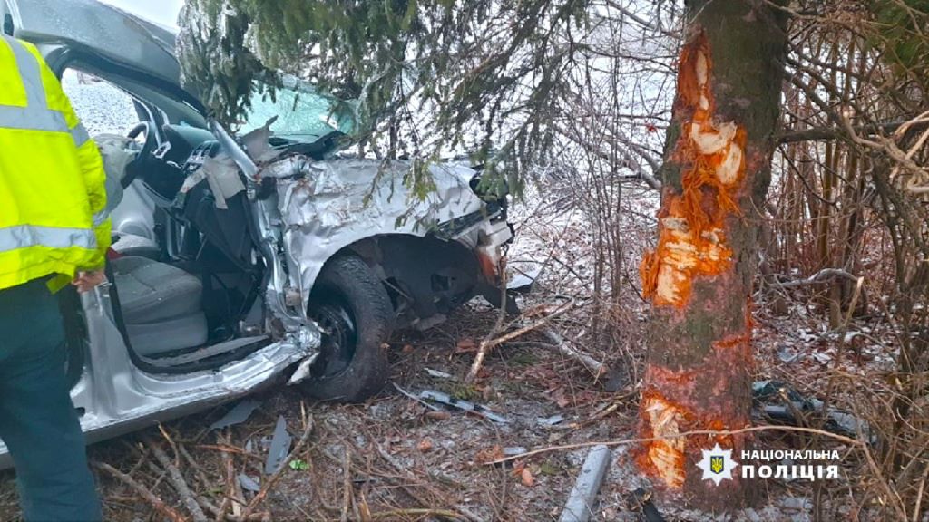 На Коломийщині водій у стані сп’яніння врізався у дерево (ФОТО)