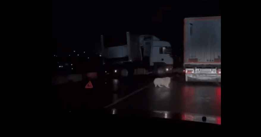 Фура ледь не перекинулась з моста у Вістовій на Калущині (ВІДЕО)