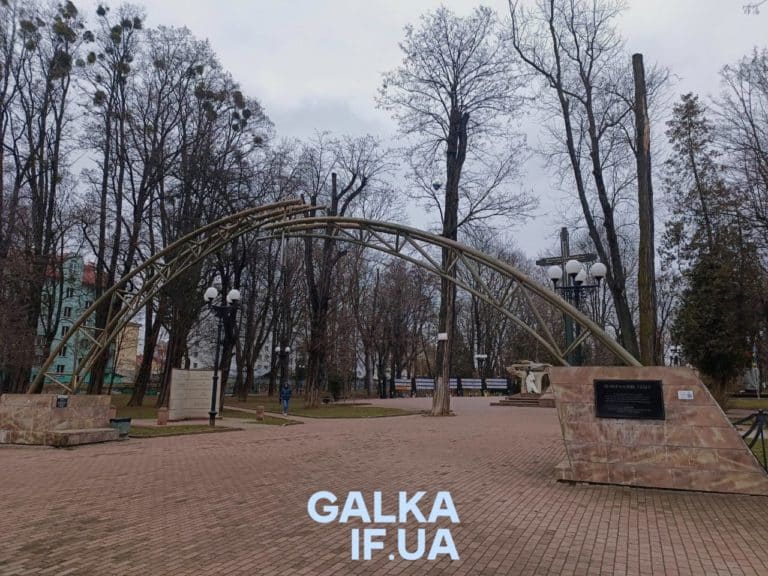 “Одні кажуть: обріжте дерева, інші – це варварство” – Марцінків розповів, чому у Меморіальному сквері Франківська обрізали дерева