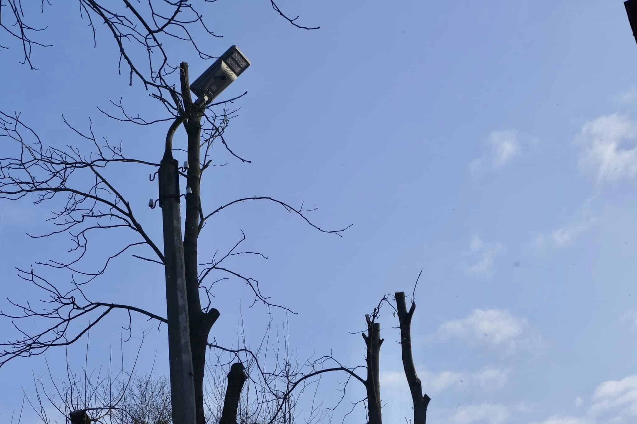 У Калуській громаді встановлюють ліхтарі на сонячних батареях (ФОТО)