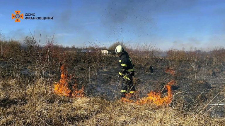 За добу на Прикарпатті трапилось 60 пожеж у природних екосистемах: покарали 7 паліїв