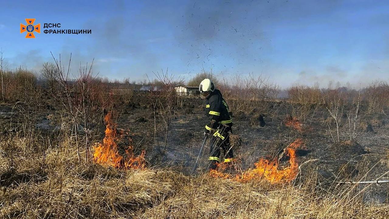 За добу на Прикарпатті трапилось 60 пожеж у природних екосистемах: покарали 7 паліїв