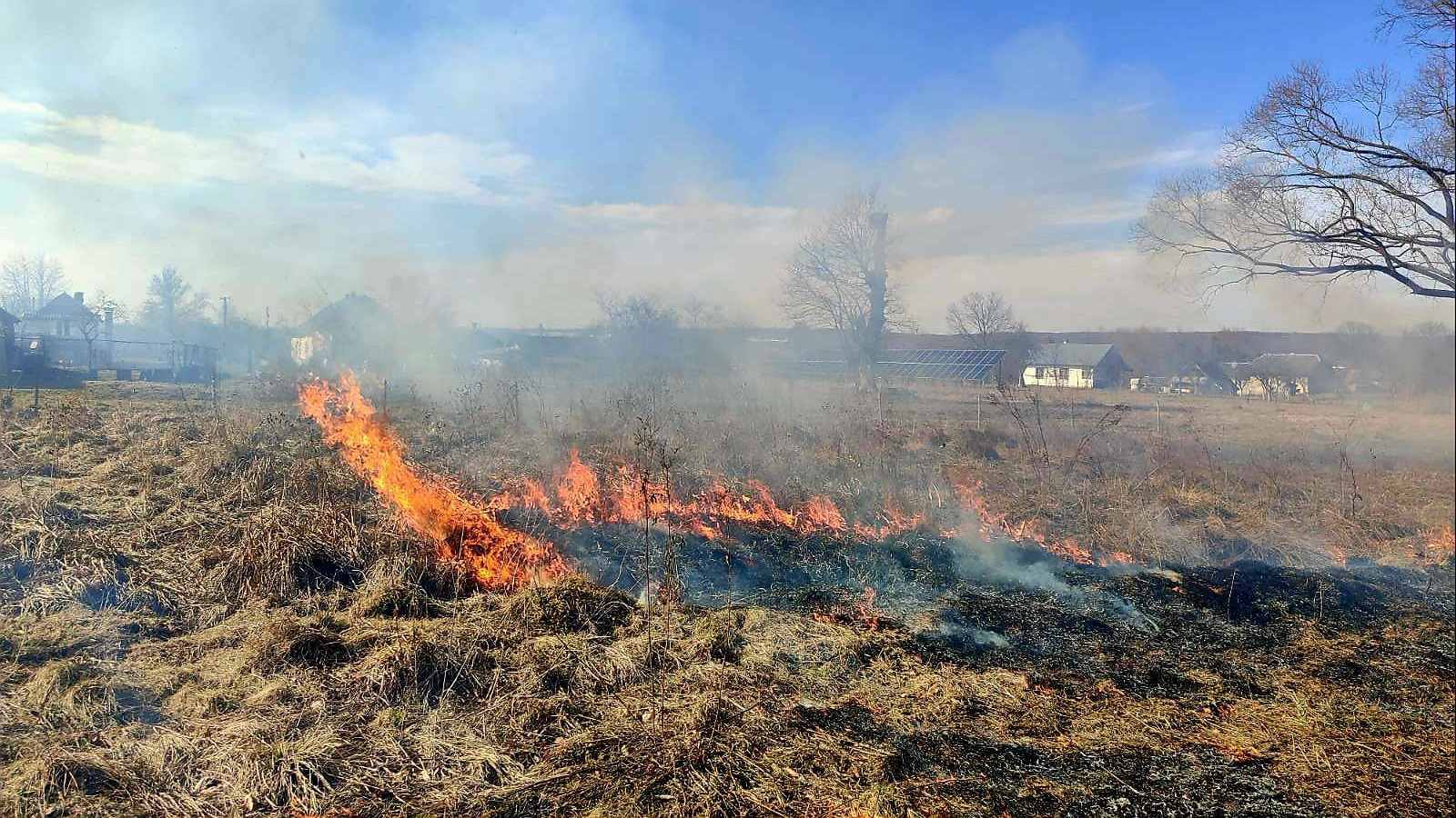На Прикарпатті від початку року сталася 1391 пожежа сухої трави