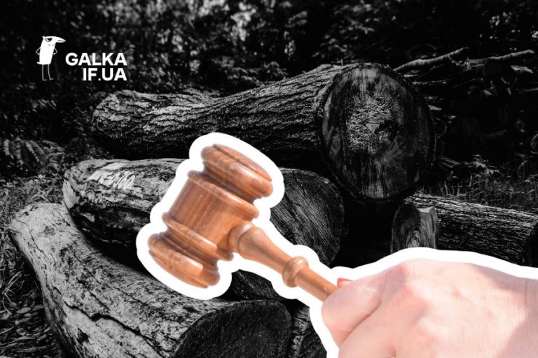 На Калущині підприємство зобов’язали відшкодувати 275 тисяч гривень збитків за незаконну вирубку