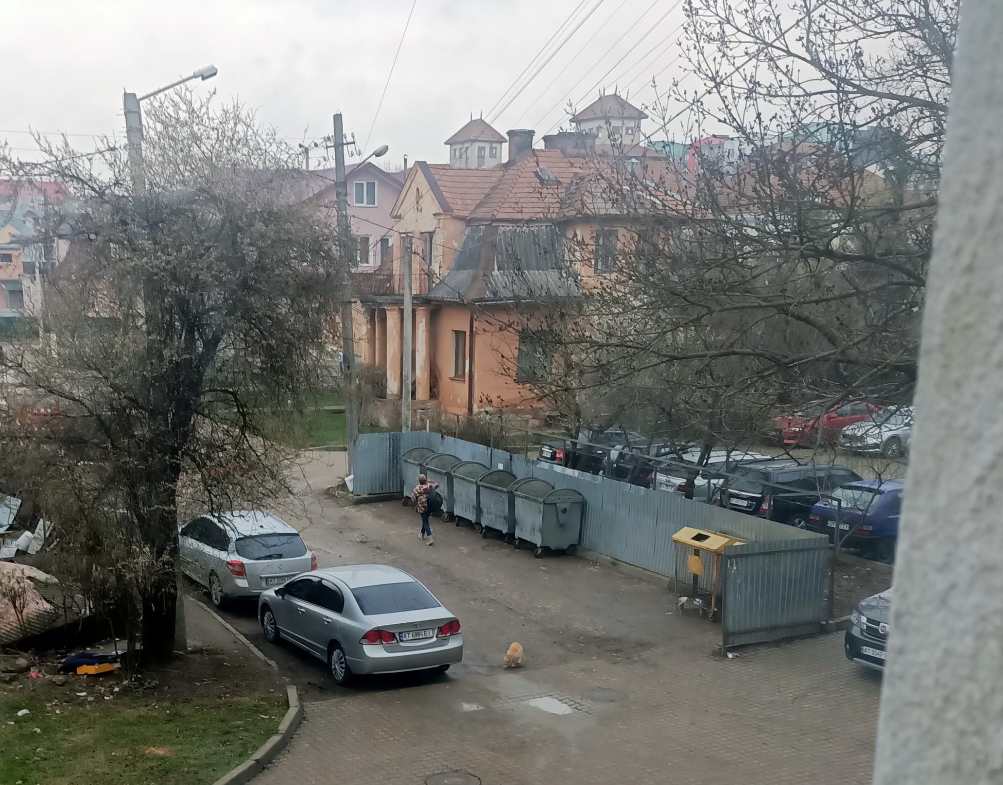 Після розголосу “Галки” двотижневе сміття з вулиці Петлюри вивезли (ФОТО)