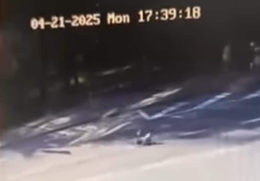 На Бандери водій авто збив собаку і втік з місця пригоди
