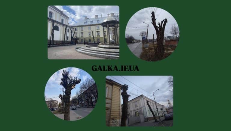 Тіні, яких більше немає: як обрізають дерева в Івано-Франківську і чому це має змінитися (ФОТО, ДОКУМЕНТИ)