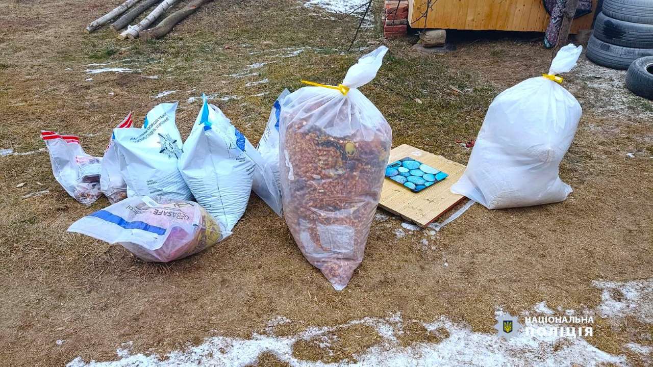 Продавали на сувенірних ринках: на Прикарпатті викрили групу торговців бурштином (ФОТО)