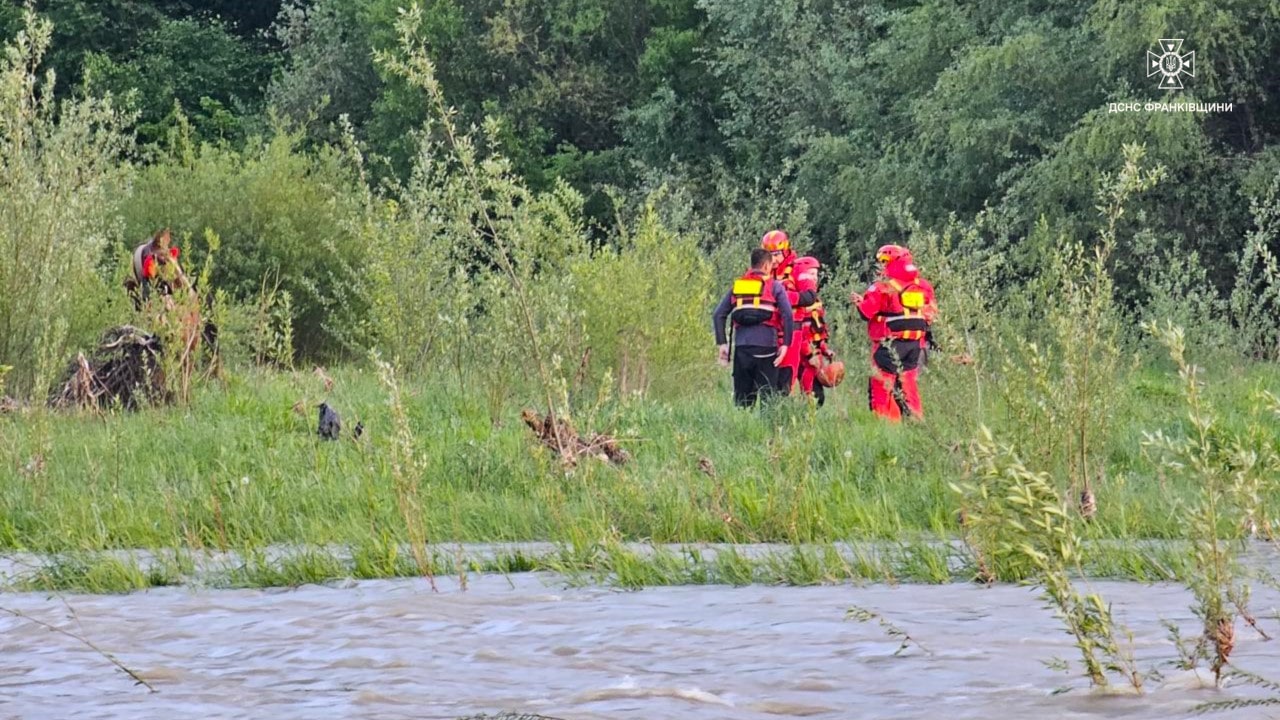 На Надвірнянщині чоловік із конем застряг на острівці посеред річки (ФОТО, ВІДЕО)
