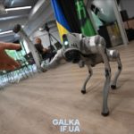 хаб хартія робот собака