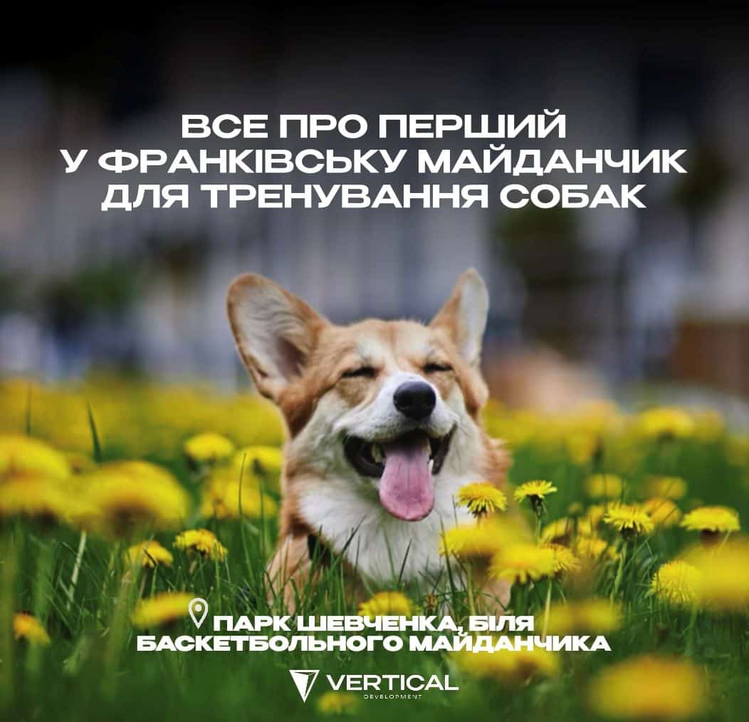 Перший у Франківську: як Vertical реалізувала тренувальний майданчик для собак у парку Шевченка