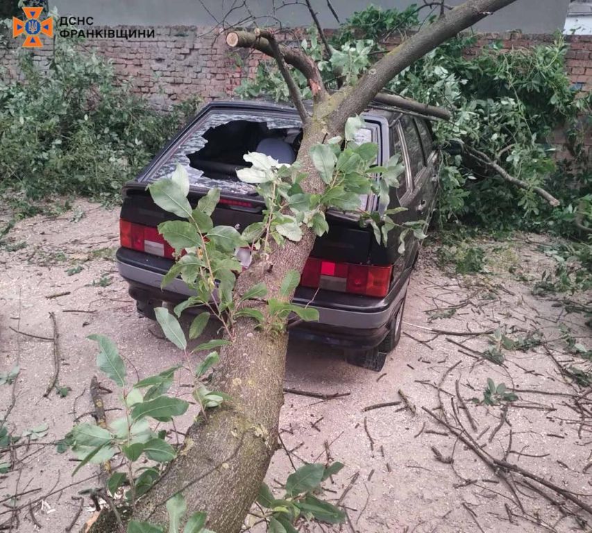Повалені дерева, пошкоджені покрівлі та авто:  рятувальники ліквідували наслідки негоди на Прикарпатті