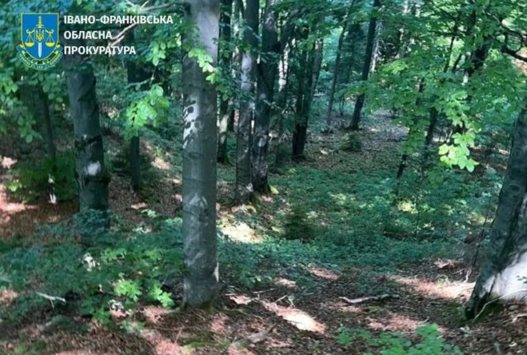 Прокуратура через суд вимагає захистити 1590 гектарів карпатських пралісів на Франківщині