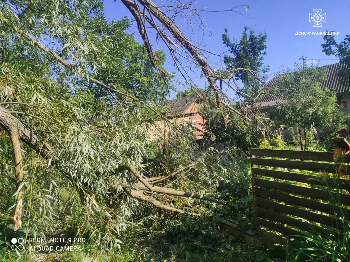 Рятувальники різали повалені дерева та відновлювали рух після негоди на Прикарпатті (ФОТО)
