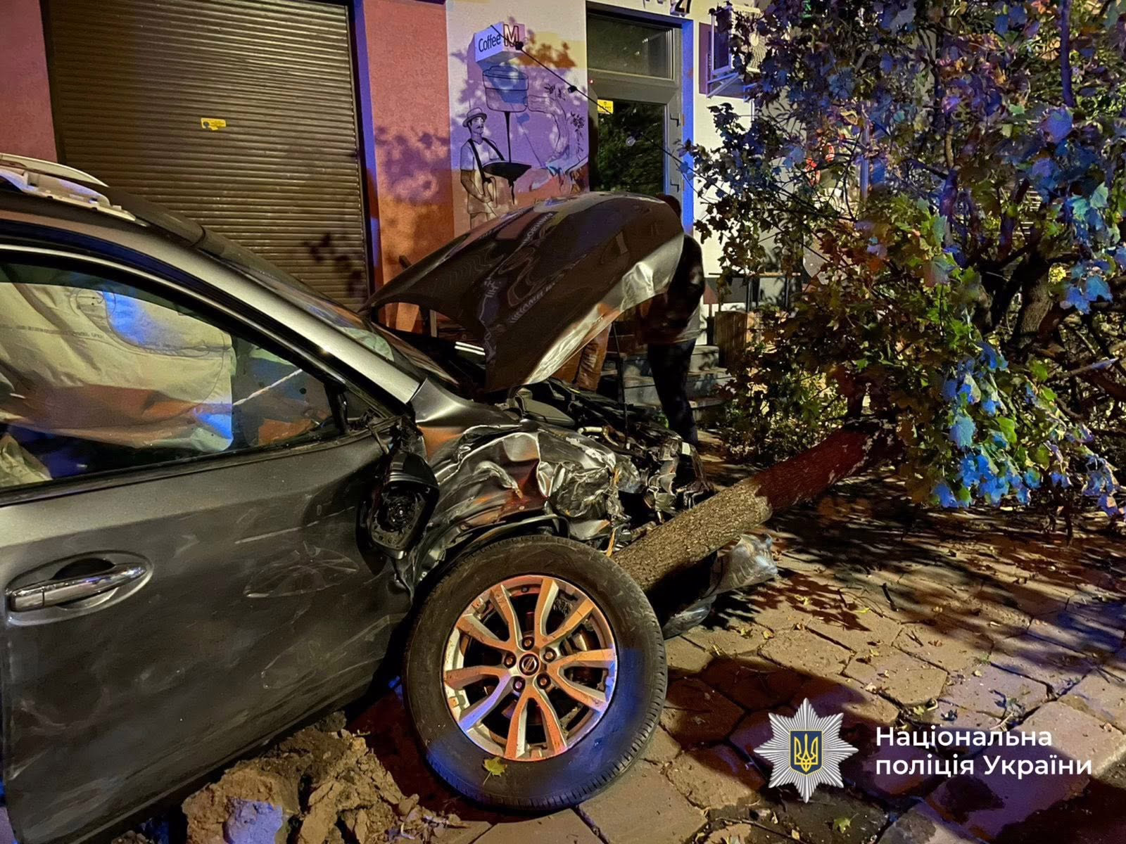 На Мазепи водій Nissan зніс дерево після зіткнення з Peugeot (ФОТО)
