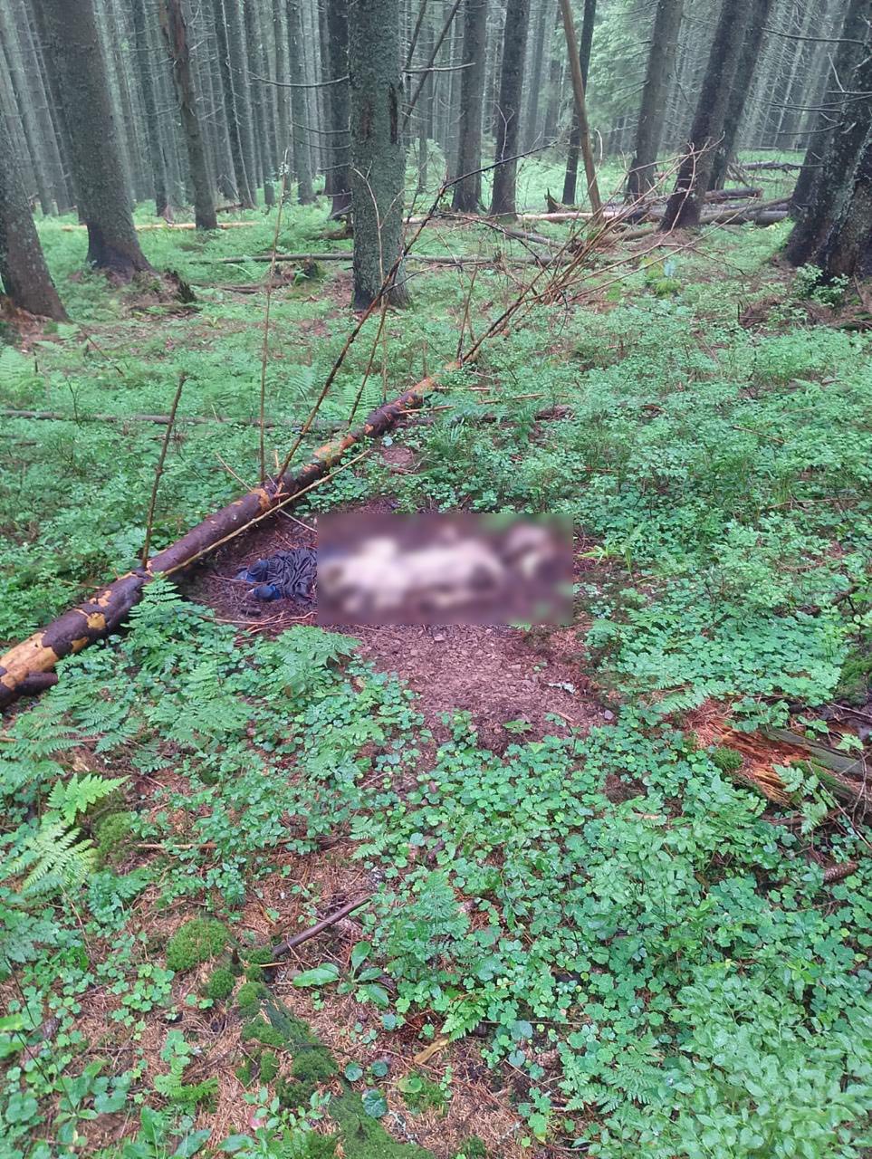 На Прикарпатті прикордонники знайшли людський скелет
