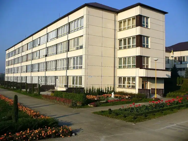Франківський ліцей — третій серед шкіл України за результатами НМТ: які предмети склали найкраще