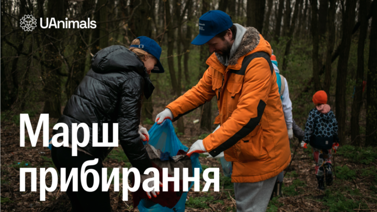 “Внесок у відновлення дикої природи й майбутнє рідкісних тварин”: франківців кличуть прибирати Касову Гору (ДЕТАЛІ)