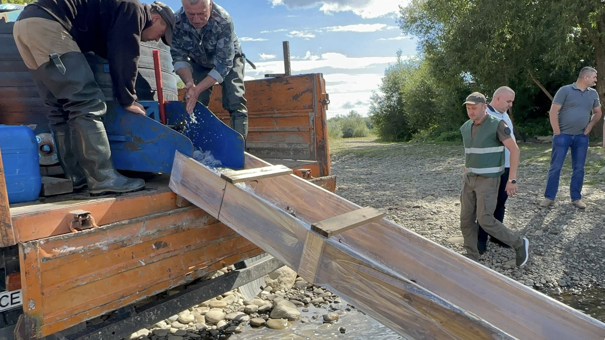 Річку Бистрицю Надвірнянську зарибнили понад 140 кілограмами струмкової форелі (ФОТО)