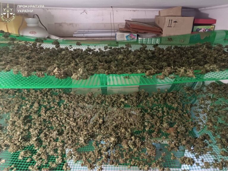На Коломийщині заарештували двох чоловіків, яких підозрюють у збуті наркотиків (ФОТО)