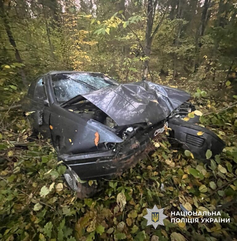 На Богородчанщині Nissan “злетів” у кювет і зіткнувся з деревом: є постраждала (ФОТО)