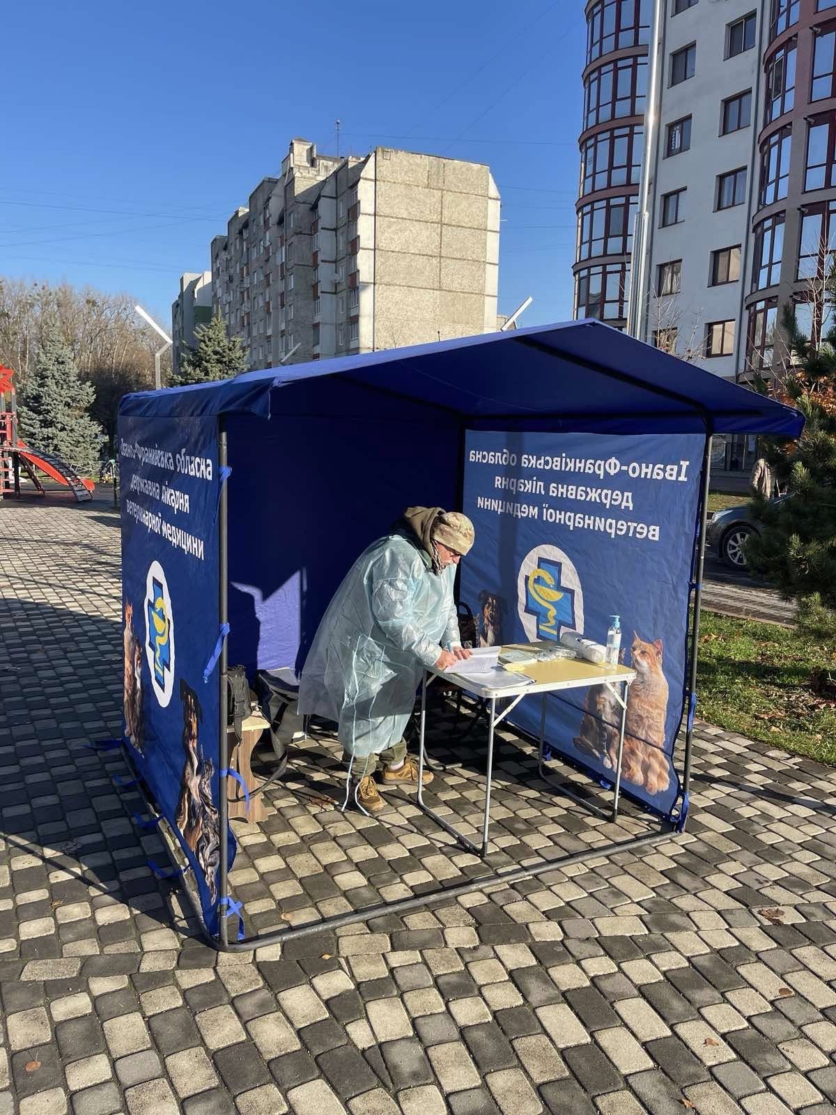 Щеплення від сказу: де та коли вакцинуватимуть домашніх тварин у Франківську