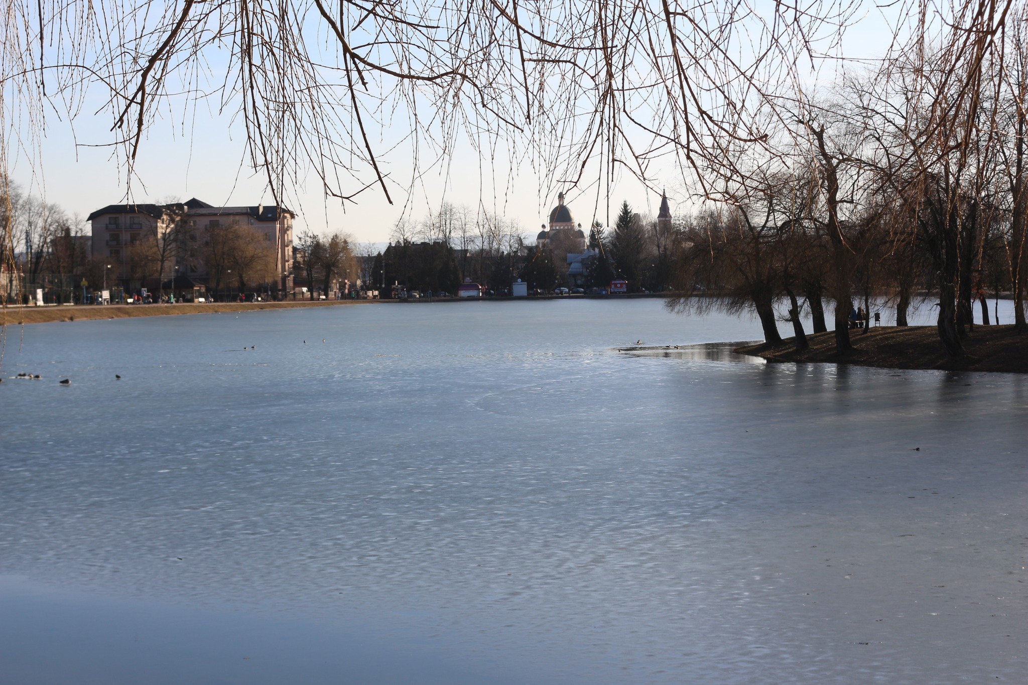 У Коломиї “помутніла вода” в озері імені Руфа: що підозрюють фахівці