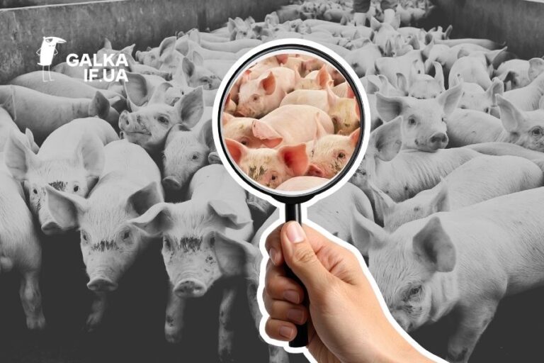 Світовий банк визнав порушення в інвестиційному проєкті на Івано-Франківщині: громади чекали на висновок розслідування 11 років 