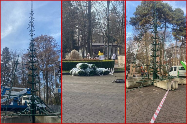 У франківському парку Шевченка встановлюють головну ялинку міста (ФОТО)