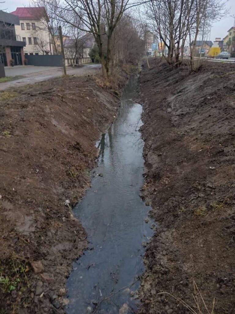 “Це необґрунтовані і помилкові роботи”, — еколог про розчистку струмка біля Франківська