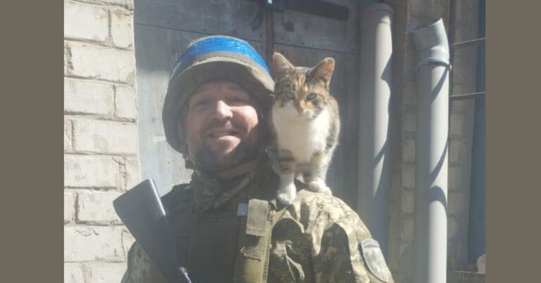 “На службі мені допомагають лікуватися котики”, – воїн “Аспірант” з Франківщини