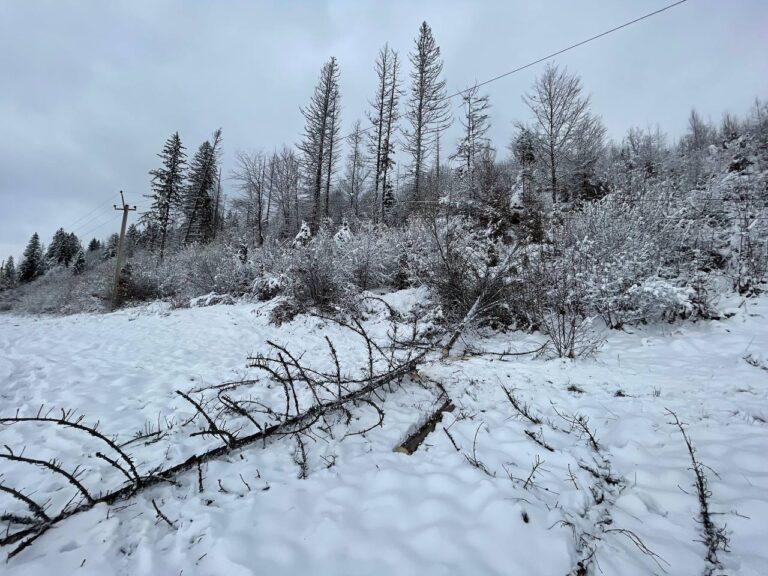 Понад 9 тисяч прикарпатців без світла через негоду: 15 сіл повністю знеструмлені (ФОТО)
