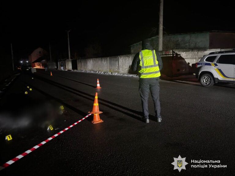 На Польовій вантажівка збила 82-річного пішохода: чоловік помер на місці (ФОТО)