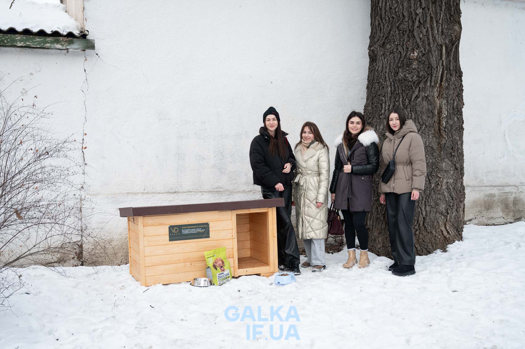 У Франківську встановили хатинки для безпритульних тварин: як це працює (ФОТО)