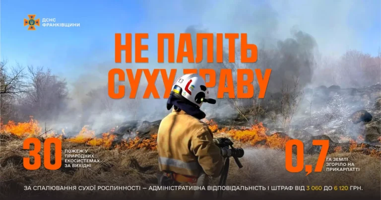 Горіли понад 17 000 м²: за вихідні на Прикарпатті сталися 30 пожеж сухої трави