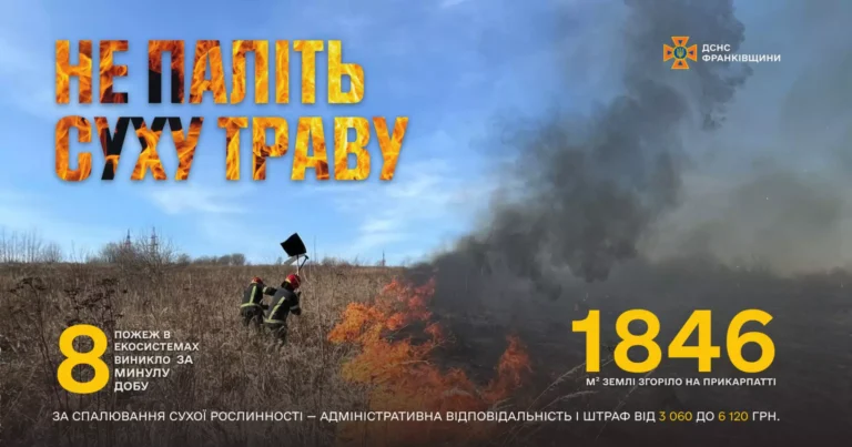 1846 м²: на Прикарпатті за добу трапилися 8 пожеж сухої трави