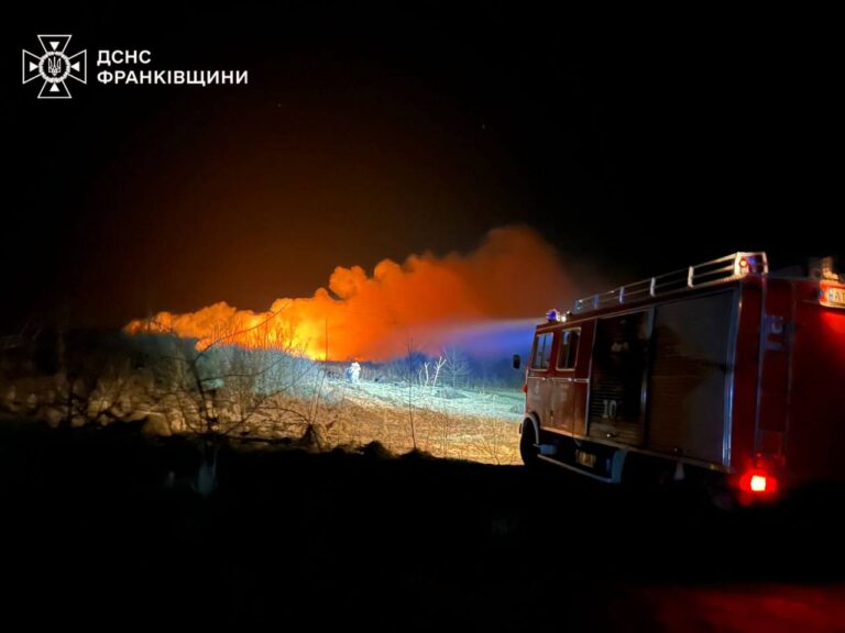 Горіли понад 10 гектарів: за добу на Прикарпатті ліквідували 78 пожеж, які виникли через підпал сухої трави (ФОТО)