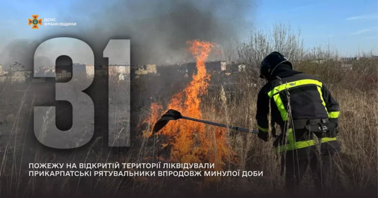 За добу на Прикарпатті згоріли 1,6 га сухої трави: покарали лише одного палія