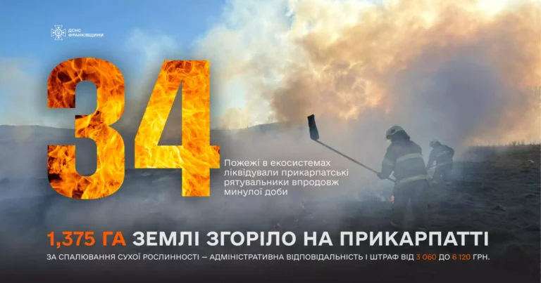 На прикарпатті за добу горіла суха трава на площі маже 1,4 га: оштрафували шість паліїв