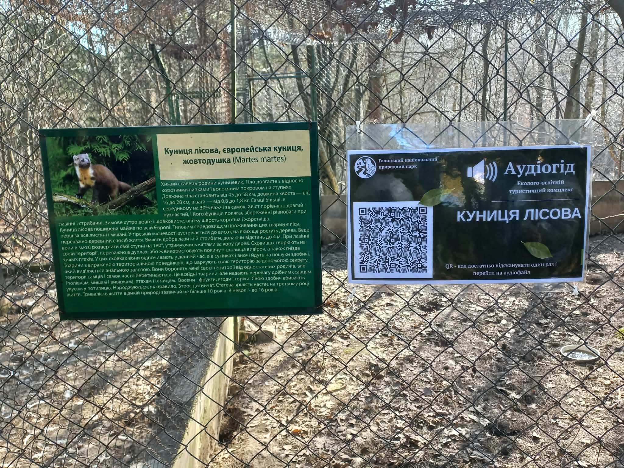 У Галицькому парку запрацював аудіогід