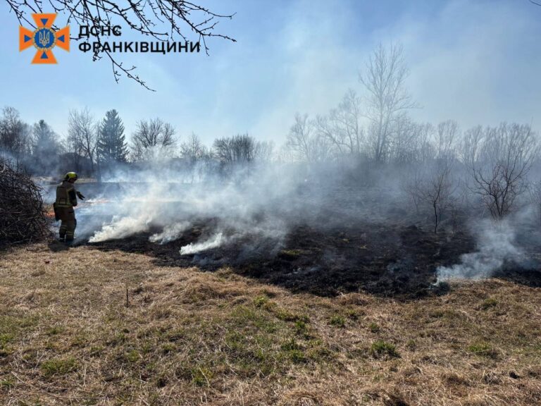 Сухостій знову палає: на Прикарпатті за добу ліквідували 54 пожежі спричинені підпалом сухої трави (ФОТО)