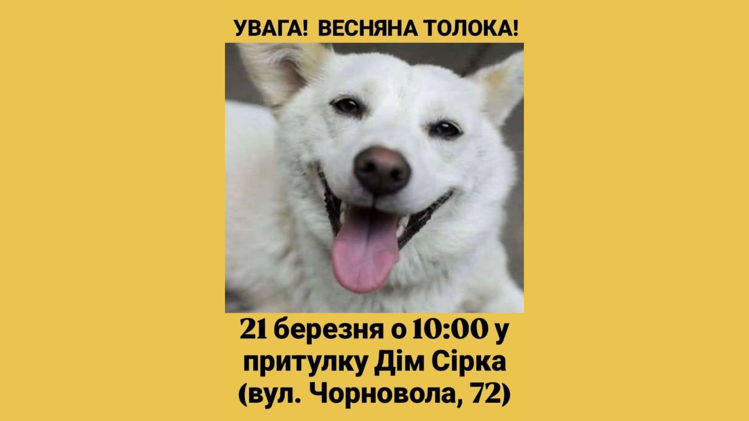 Калушан кличуть на весняну толоку у “Домі Сірка”