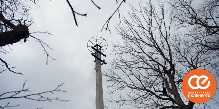 “Щоб не пошкоджували проводи”: прикарпатські енергетики показали, як встановлюють платформи для лелечих гнізд (ВІДЕО)