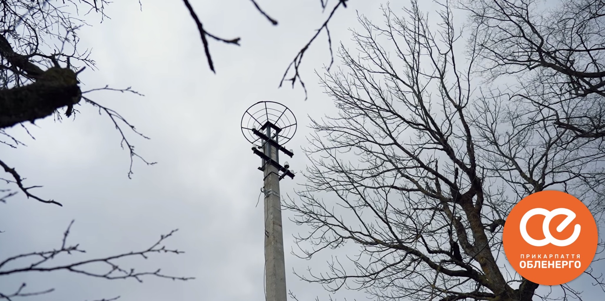 “Щоб не пошкоджували проводи”: прикарпатські енергетики показали, як встановлюють платформи для лелечих гнізд (ВІДЕО)