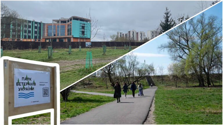 “Цей простір потрібно зберегти”: що відбувається з останньою зеленою зоною біля озера (ФОТО)