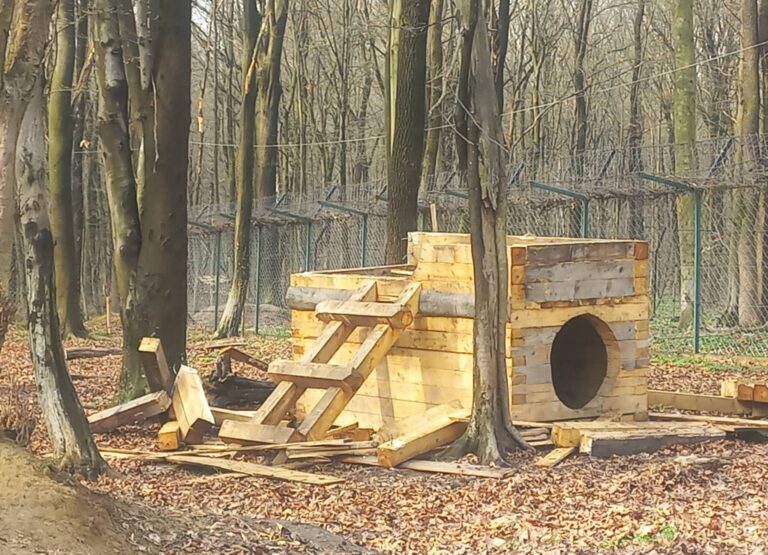 Ведмідь Мир із Галицького парку зруйнував свою хатинку після зимової сплячки