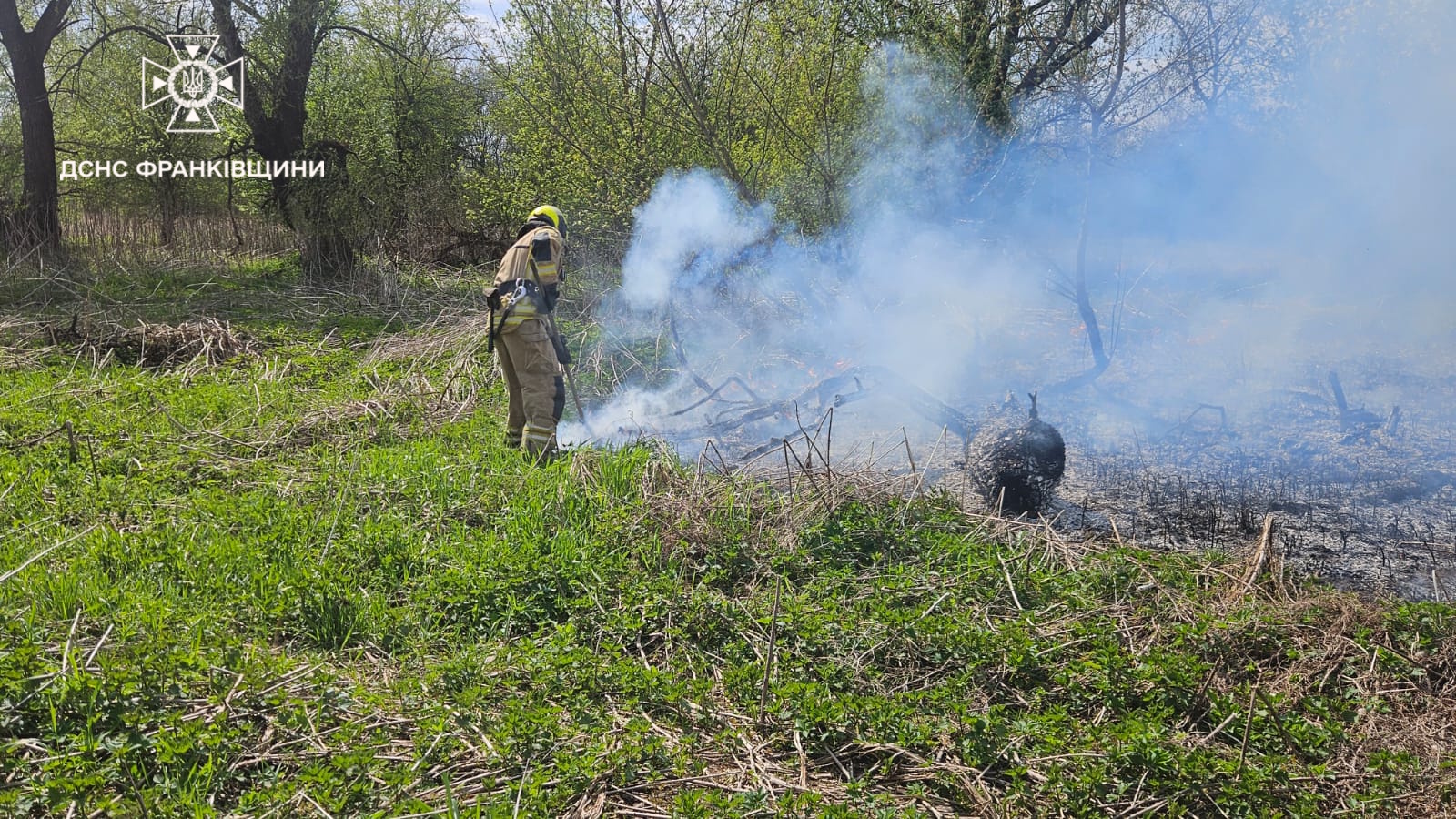 За вихідні на Франківщині — 23 пожежі сухостою: з початку року вогонь знищив 67 гектарів (ФОТО)