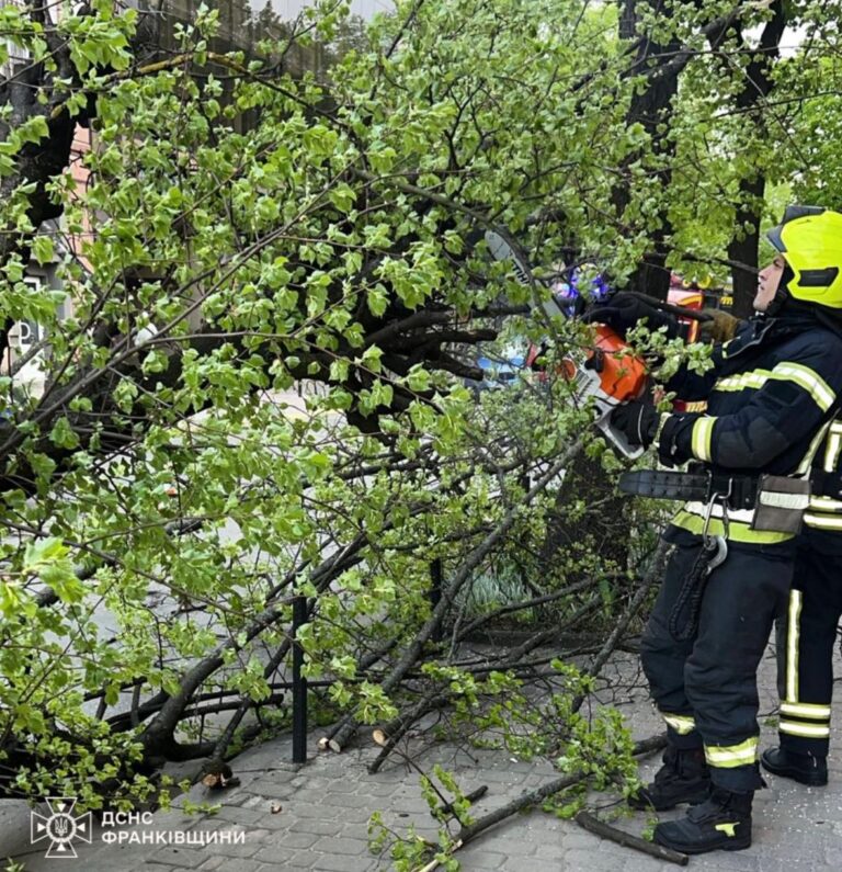 На Прикарпатті у кількох громадах рятувальники прибирають дерева, що впали на дорогу (ФОТО)
