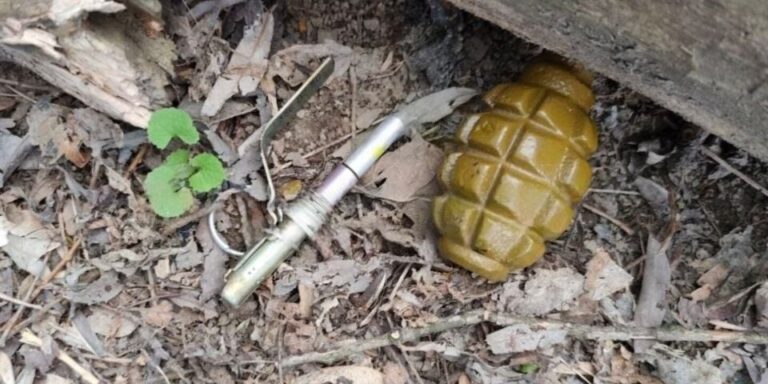 У Франківську в лісосмузі виявили предмет, схожий на гранату