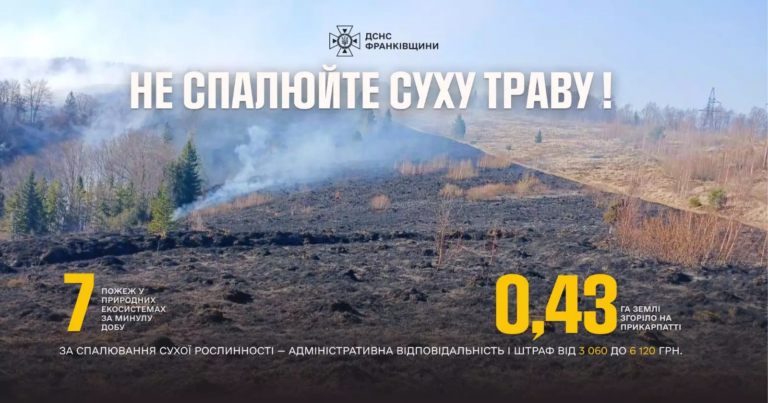 На Прикарпатті за добу ліквідували 7 пожеж в екосистемах